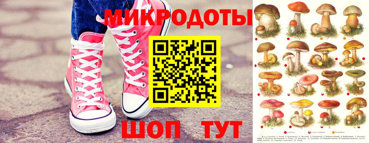 Галлюциногенные грибы Psilocybine cubensis Елец